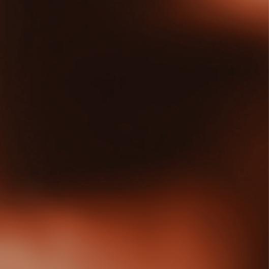 Spray Tan Bundle (12)